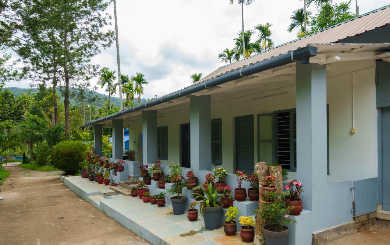Mystic Trees, Kumily Appartement Thekkady Buitenkant foto