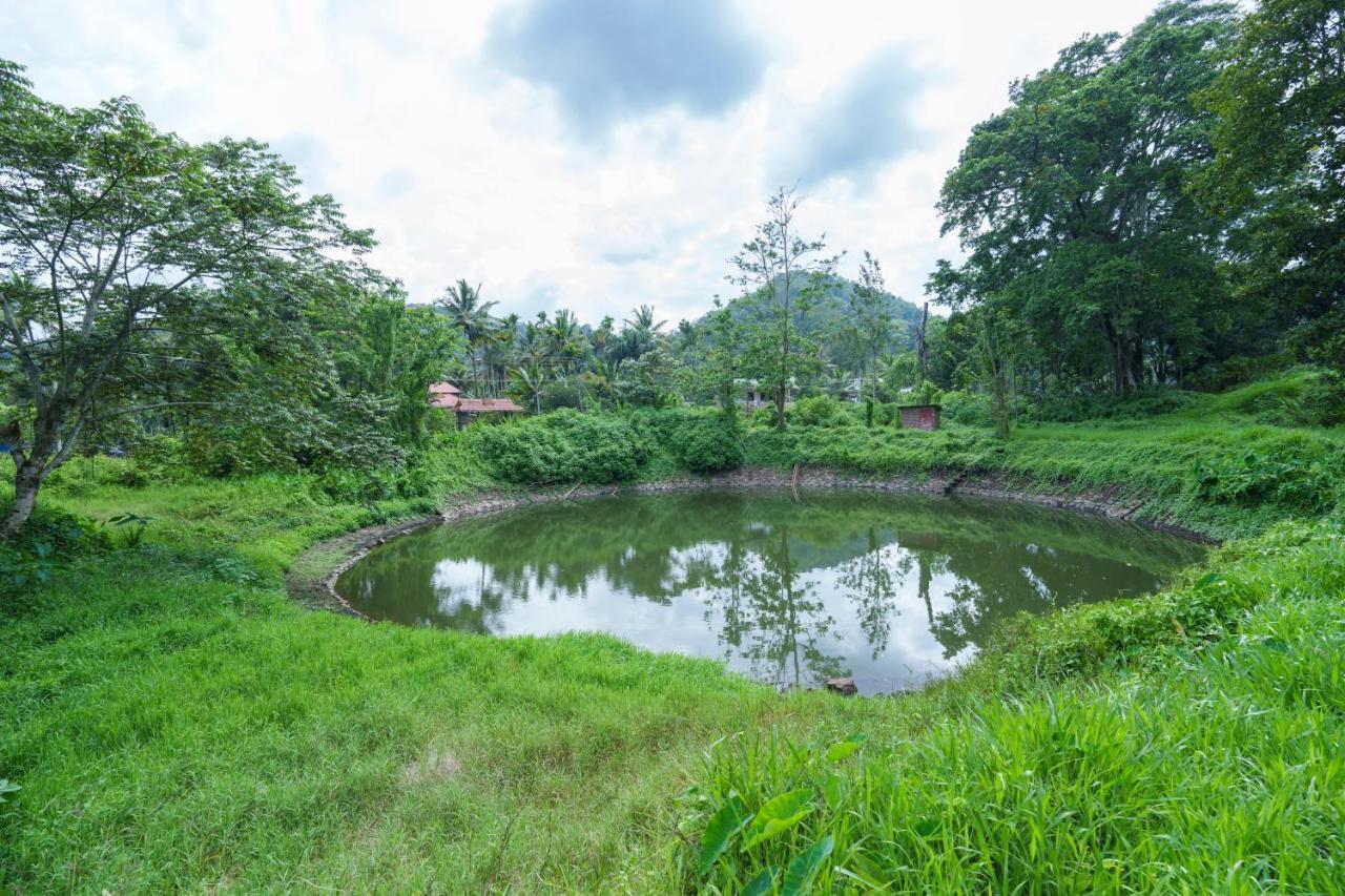 Mystic Trees, Kumily Appartement Thekkady Buitenkant foto